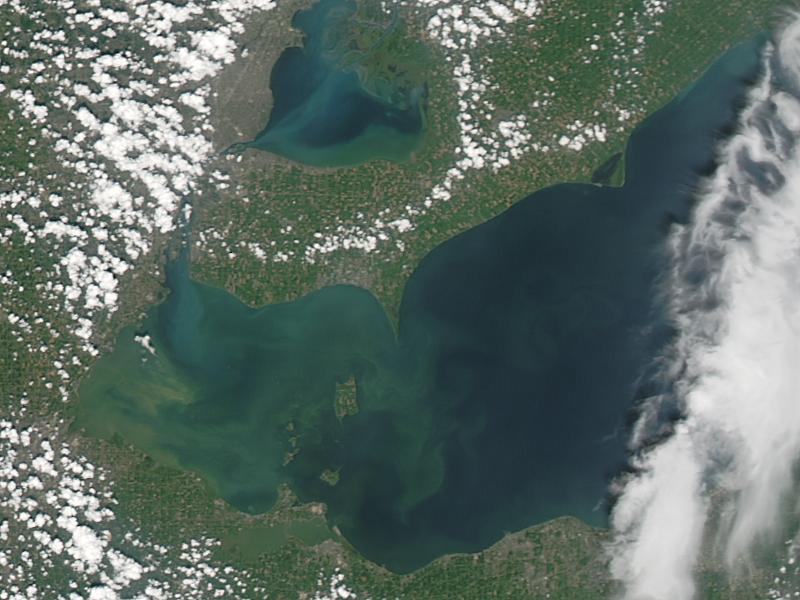 Algae Bloom on Lake Erie