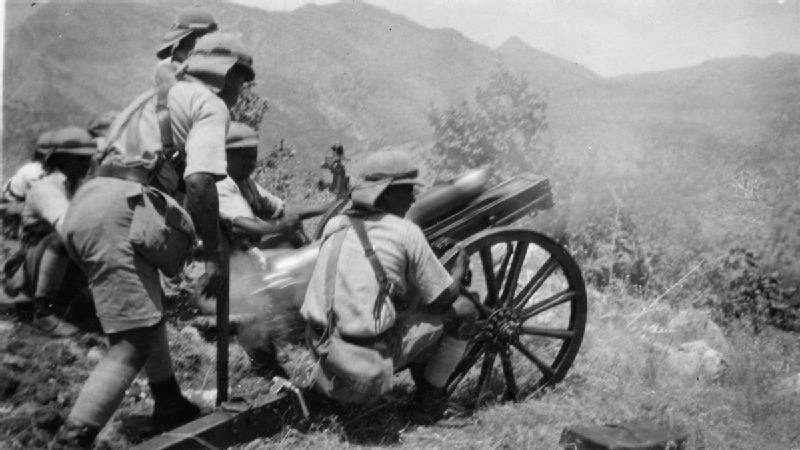 Mountain gun of the Iraqi Army