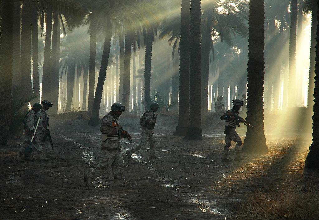 PATROL IN A PALM GROVE, MAHMUDIAYH