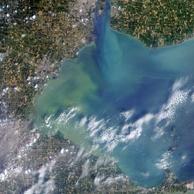 Algae Bloom on Lake Erie, August 2014