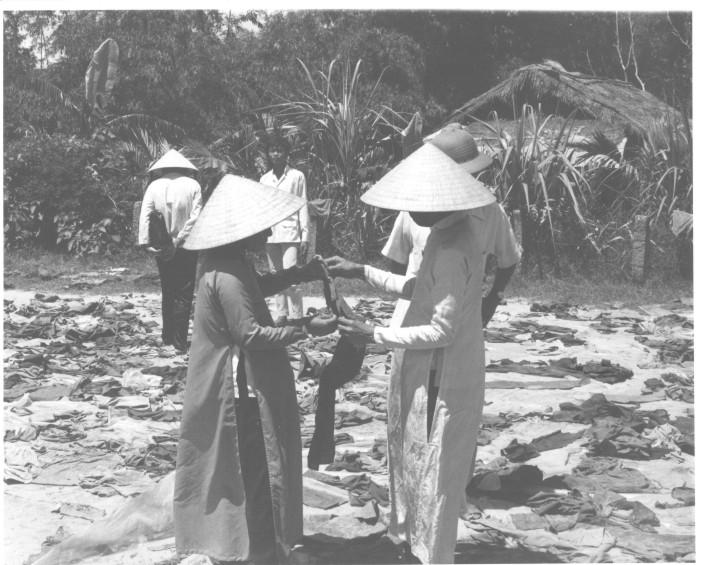 Vietnamese Women Search for Trace of Loved Ones Amidst Tattered Clothing, Hue Massacre, South Vietna