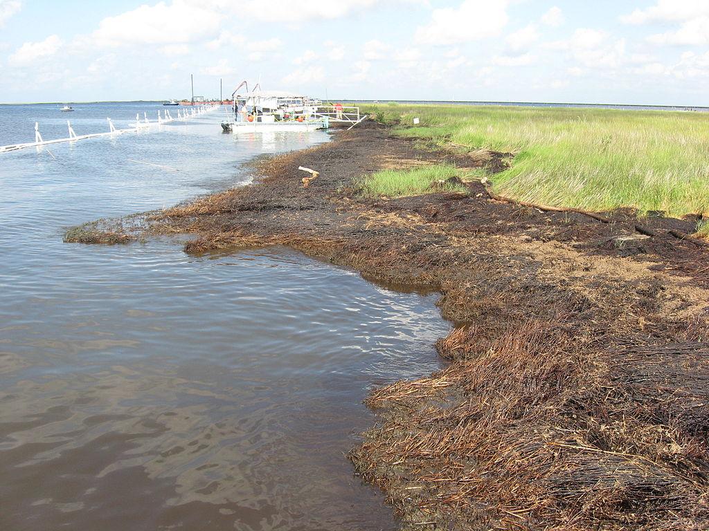 Oil Washes Ashore in Bay Jimmy