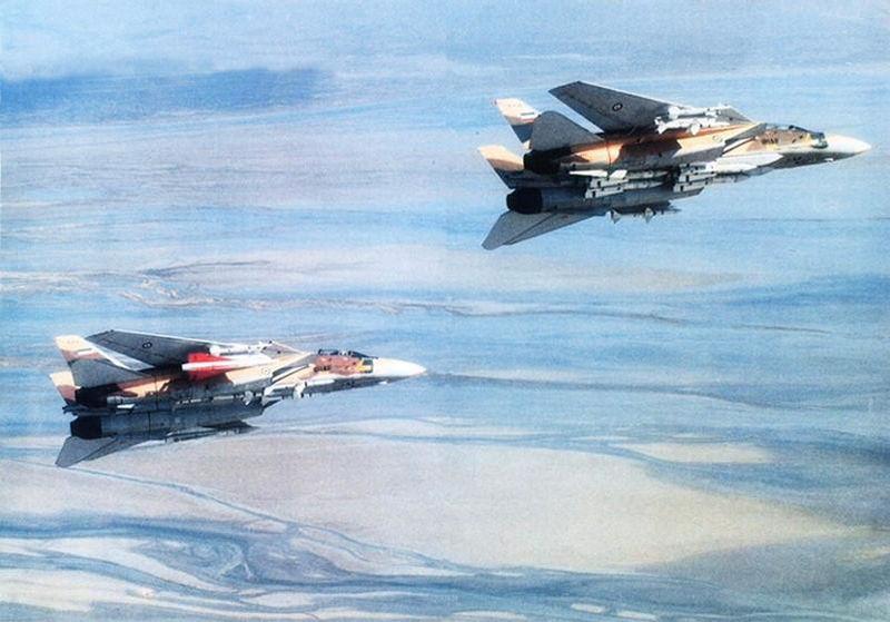 Iranian Tomcats