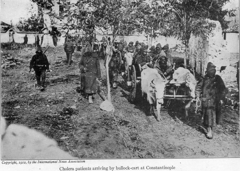 Ottoman Victims of Cholera