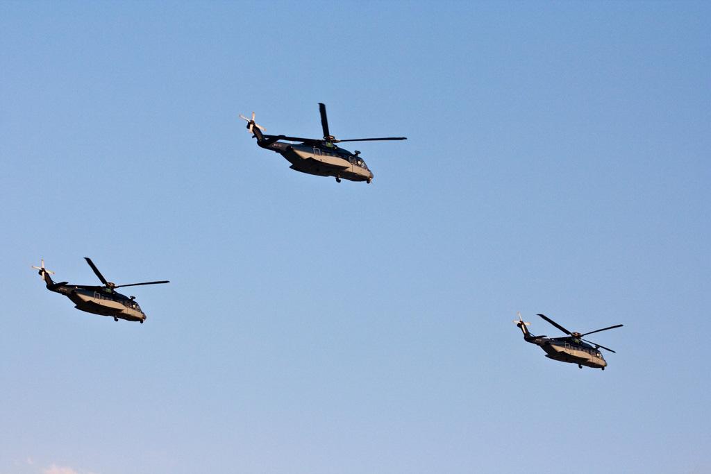 Saudi security forces on parade