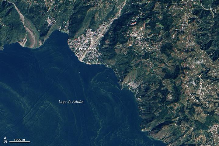 Harmful Algae Bloom in Lake Atitlan, Guatemala