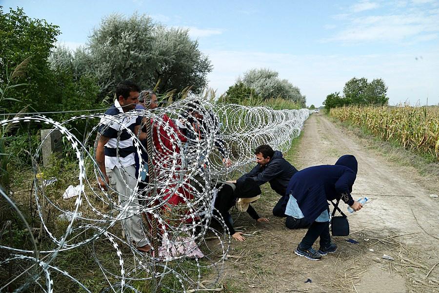 Syrian Refugees Enter Hungary Through Border Fence; Röszke, Hungary, August 2015