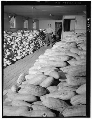 Ansel Adams - Manzanar War Relocation Center for Japanese Americans, World War II