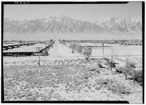 Ansel Adams - Manzanar War Relocation Center for Japanese Americans, World War II