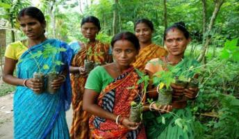 Village plants 111 Trees Everytime a Girl is Born, Piplantri-India, May 2015