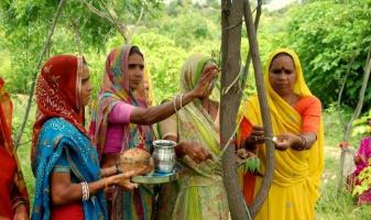 Village plants 111 Trees Everytime a Girl is Born, Piplantri-India, May 2015