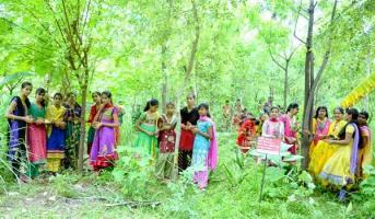 Village plants 111 Trees Everytime a Girl is Born, Piplantri-India, May 2015