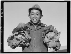 Ansel Adams - Manzanar War Relocation Center for Japanese Americans, World War II