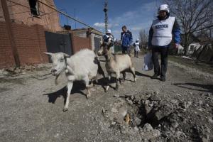 Organization for Security and Co-operation in Europe (OSCE) Observers Monitor Situation in Shyrokyne