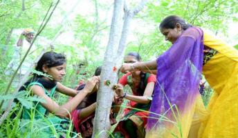 Village plants 111 Trees Everytime a Girl is Born, Piplantri-India, May 2015