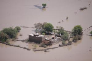 American Military Providing Humanitarian Aid to Pakistan Flood Victims, 2010