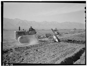 Ansel Adams - Manzanar War Relocation Center for Japanese Americans, World War II