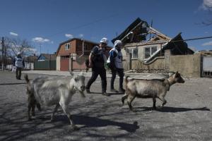 Organization for Security and Co-operation in Europe (OSCE) Observers Monitor Situation in Shyrokyne