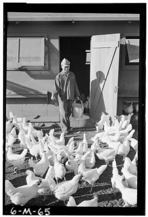 Ansel Adams - Manzanar War Relocation Center for Japanese Americans, World War II