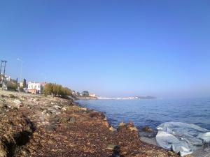 Refugee Camps, Lesvos December 2015